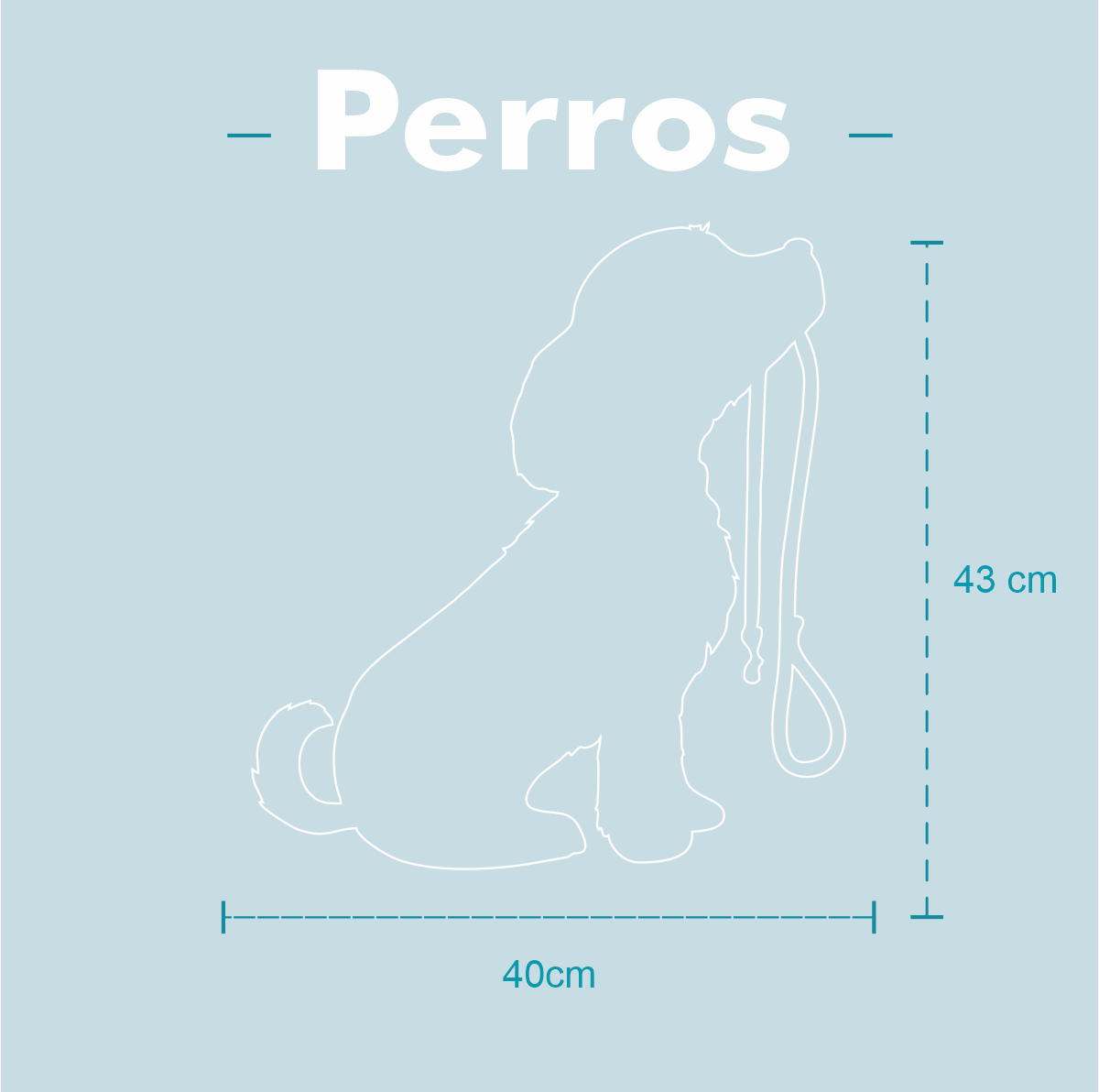 Perro con Correa