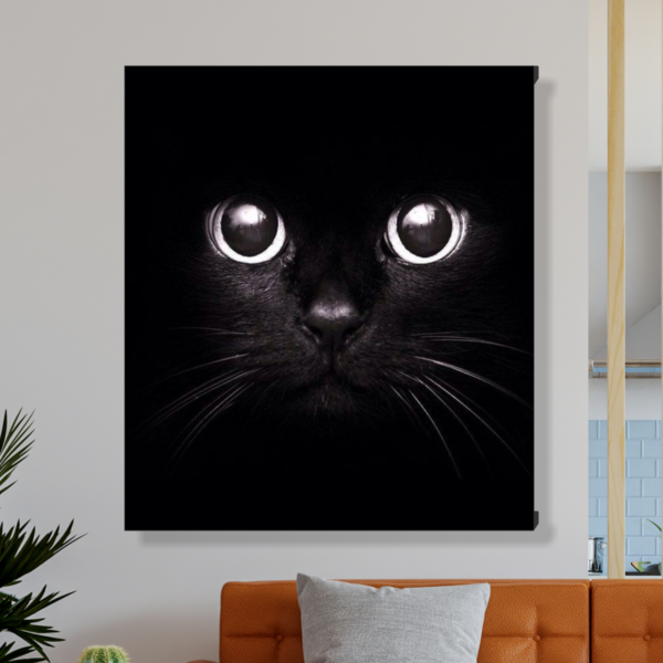 cuadro gatito negro