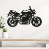 cuadro de moto 63 x 40 cm