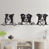 cuadros de perros de raza border collie