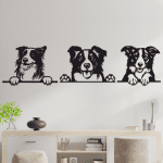 cuadros de perros de raza border collie