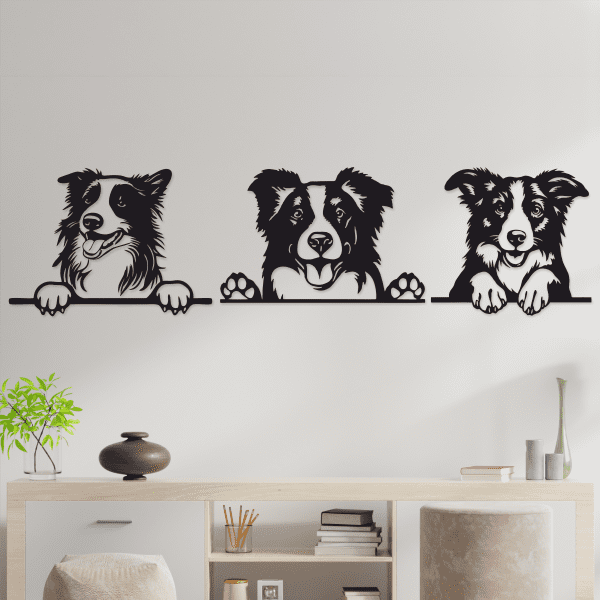 cuadros de perros de raza border collie