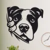 cuadro de perro pitbull asomandose 50 x 50