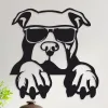 cuadro de perro pitbull con anteojos asomandose 40 x 40