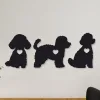 cuadro de poses de caniches